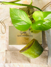 Load image into Gallery viewer, Eucalyptus Coconut Aloe Soap
